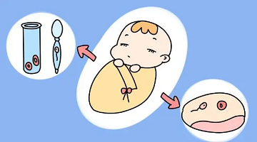 自然流产、试管失败、保胎治疗，说说那些年我走过的路