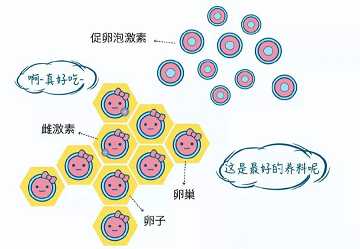 成都市不孕不育医院哪家好