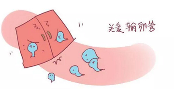 成都输卵管堵塞到底是怎么引起的?