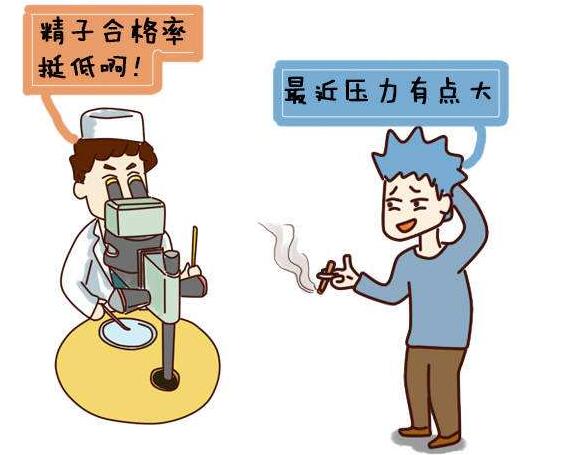 男性生育力评估