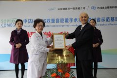 四川中法HEOS宫腔镜手术系统示范基地落户四川省生殖健康研究中心附属生殖专科医院