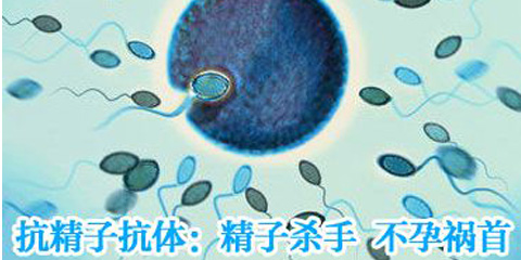 生殖专家详解抗精子抗体不孕