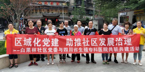 区域化党建，助推社区发展治理——我院与白果林社区共驻共建活动