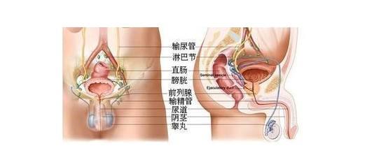 睾丸扭转的表现症状？