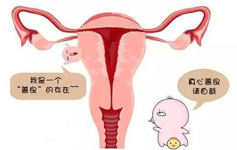 子宫肌瘤手术后什么时候怀孕